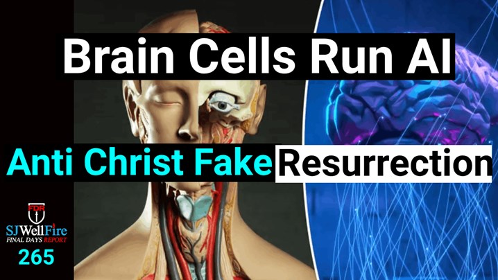 Brain Cells to Run AI - False Anti Christ Resurrection Capability ...